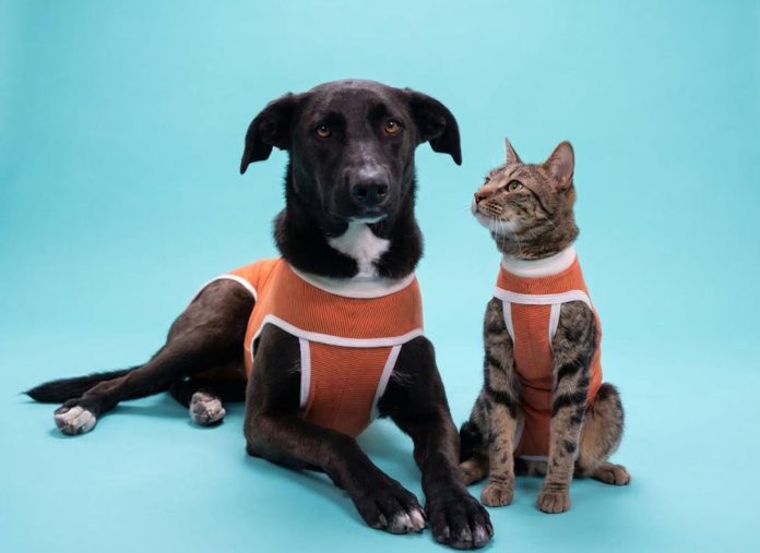 Kimba: la empresa chilena pionera en bodies postquirúrgicos que hoy exporta a más de 40 países