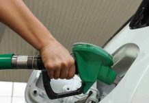 Ahorro de hasta 30% en combustible: el blindaje de la logística chilena frente a la volatilidad energética