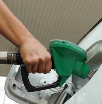 Ahorro de hasta 30% en combustible: el blindaje de la logística chilena frente a la volatilidad energética