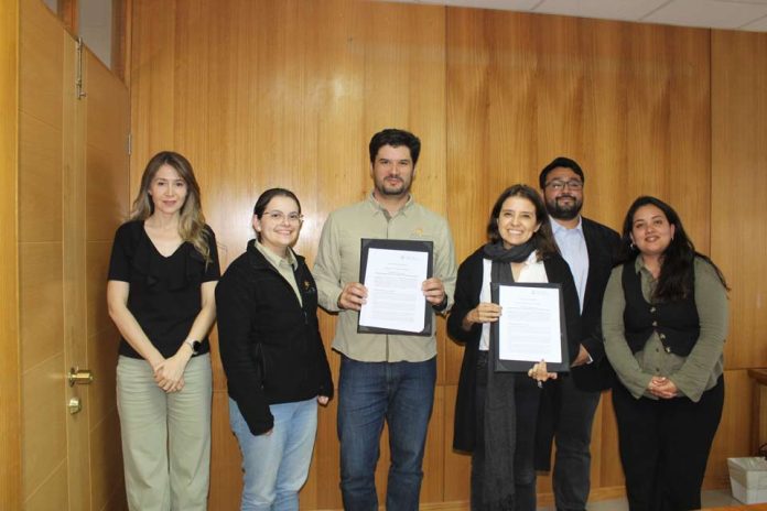 Atlas Renewable Energy y la UCN impulsan alianza para formar talento en energías renovables y almacenamiento Atlas Renewable Energy y la UCN impulsan alianza para formar talento en energías renovables y almacenamiento