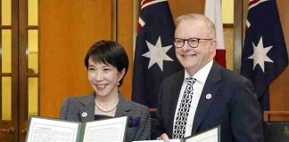 Australia y Japón: Una nueva alianza en el sector de los minerales críticos. Australia y Japón: Una nueva alianza en el sector de los minerales críticos.