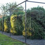 Biofiltración basada en microorganismos y vegetación transforman la calefacción a leña en combustión limpia