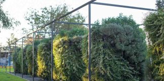 Biofiltración basada en microorganismos y vegetación transforman la calefacción a leña en combustión limpia