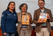CemVivo innovación con sello regional busca revolucionar la reutilización de residuos mineros