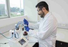 Comasa se incorpora a proyecto UCSC para producir SAF a partir de camelina
