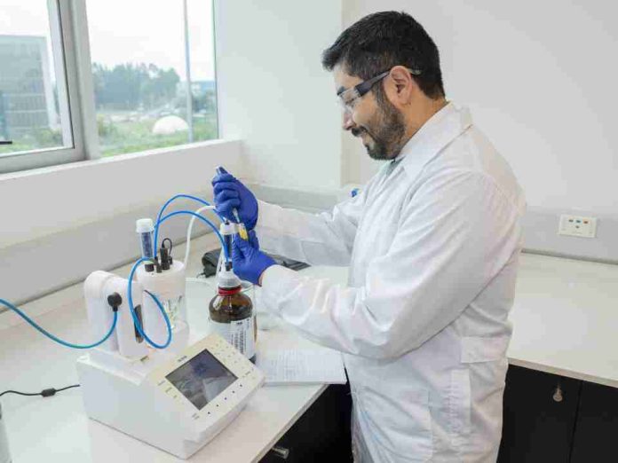 Comasa se incorpora a proyecto UCSC para producir SAF a partir de camelina
