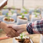 Comité de Desarrollo Productivo abre convocatorias para potenciar proveedores y elevar estándares empresariales en Ñuble