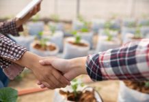 Comité de Desarrollo Productivo abre convocatorias para potenciar proveedores y elevar estándares empresariales en Ñuble