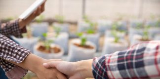 Comité de Desarrollo Productivo abre convocatorias para potenciar proveedores y elevar estándares empresariales en Ñuble Comité de Desarrollo Productivo abre convocatorias para potenciar proveedores y elevar estándares empresariales en Ñuble