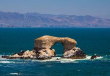 EXPONOR 2026 impulsa la economía local y pone en valor la identidad regional de Antofagasta