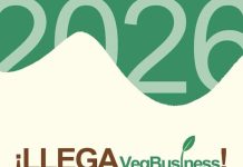 “El compliance no puede ser una piedra de tope”: ProntoPaga destaca el rol de la innovación y la IA en los nuevos desafíos ffintech “El compliance no puede ser una piedra de tope”: ProntoPaga destaca el rol de la innovación y la IA en los nuevos desafíos ffintech
