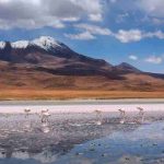Extracción Directa de Litio: Un método que minimiza el impacto en salares