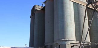 IA redefine la logística del concreto y promete mejoras operacionales de hasta 37%
