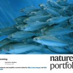 INCAR² fortalece su liderazgo internacional con participación en edición especial de Scientific Reports