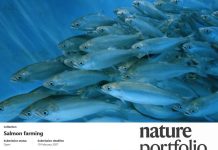 INCAR² fortalece su liderazgo internacional con participación en edición especial de Scientific Reports