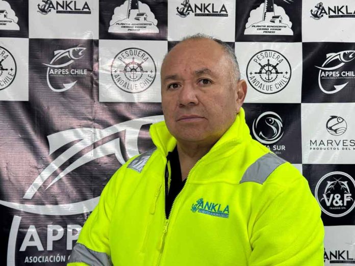 Jibia: más que un recurso, una decisión sobre empleo regional
