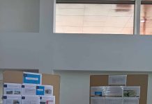 Columna de opinión | Luz, conocimiento y territorio: el compromiso de la universidad pública con la sustentabilidad
