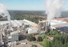 MASISA alcanza 47,4% de valorización de residuos en sus operaciones