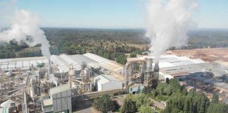 MASISA alcanza 47,4% de valorización de residuos en sus operaciones