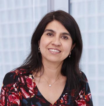Columna de opinión | Minería en Chile y Argentina: una oportunidad definida por la colaboración