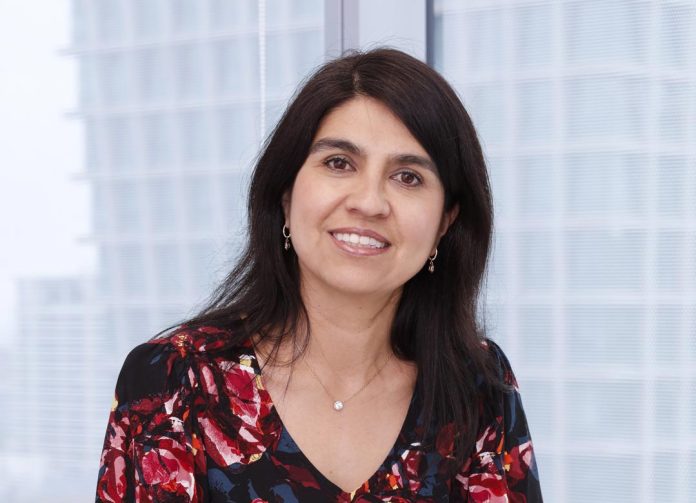 Columna de opinión | Minería en Chile y Argentina: una oportunidad definida por la colaboración