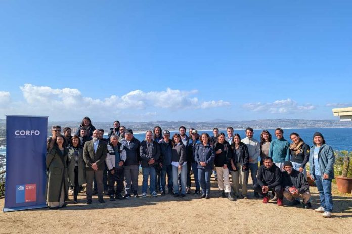 Presentan exitosos resultados de la primera cosecha regenerativa de huiro en la Zona