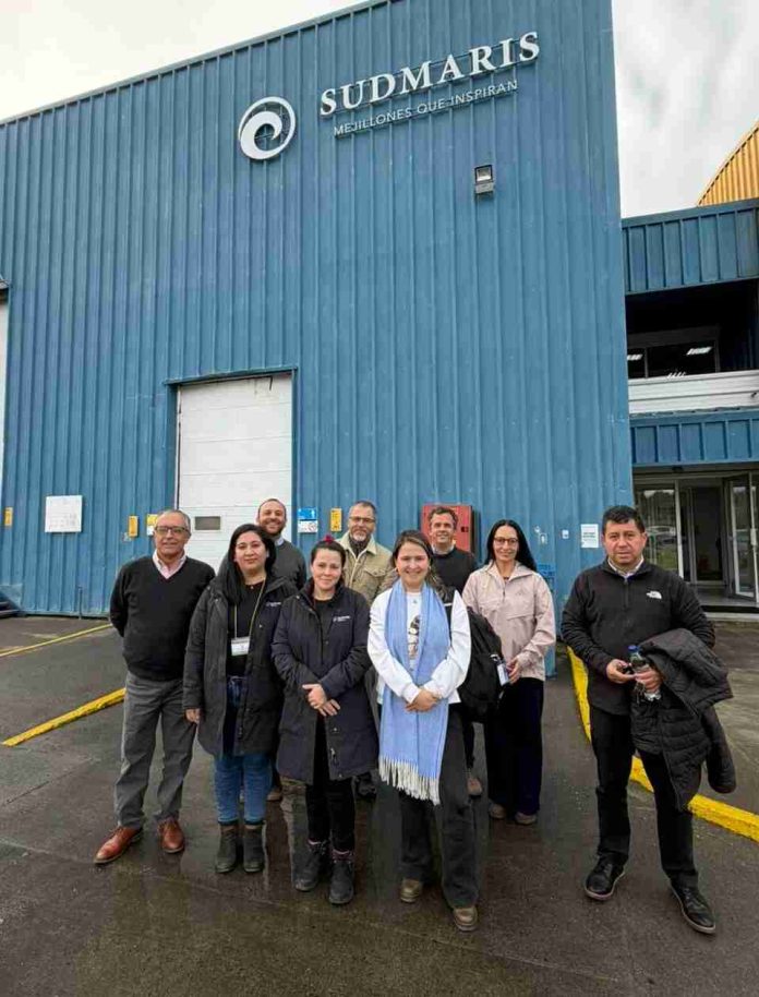 ProChile y AmiChile fortalecen posicionamiento internacional del mejillón chileno desde Chiloé 