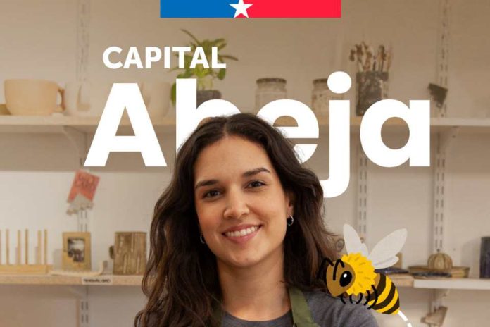 Sercotec abre postulaciones al Capital Abeja 2026 con financiamiento de $3,5 millones para emprendedoras de Ñuble
