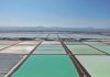 Sociedad Química y Minera de Chile SA, SQM