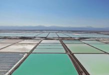 Sociedad Química y Minera de Chile SA, SQM