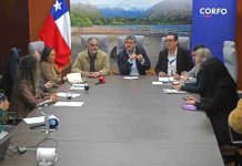 Transición hacia la economía regenerativa en empresas y emprendedores