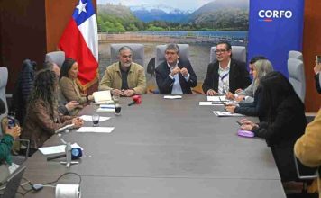 Transición hacia la economía regenerativa en empresas y emprendedores