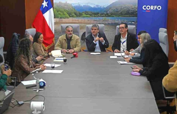 Transición hacia la economía regenerativa en empresas y emprendedores