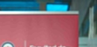 Columna de opinión | Una oportunidad para fortalecer la confianza digital Una oportunidad para fortalecer la confianza digital