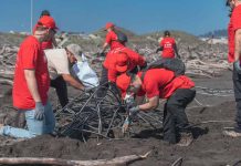 Voluntarios de Aramark realizan jornadas solidarias en apoyo a comunidades y al medioambiente en distintas regiones del país Voluntarios de Aramark realizan jornadas solidarias en apoyo a comunidades y al medioambiente en distintas regiones del país