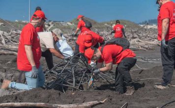 Voluntarios de Aramark realizan jornadas solidarias en apoyo a comunidades y al medioambiente en distintas regiones del país