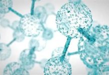 Cinco metales construyen nanocristales con un rendimiento superior Cinco metales construyen nanocristales con un rendimiento superior