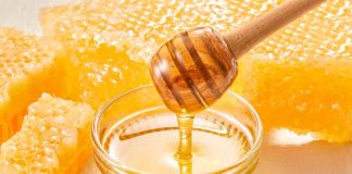 CCHEN impulsa regulación y normativa para garantizar la autenticidad de los alimentos en Chile miel industria alimentaria