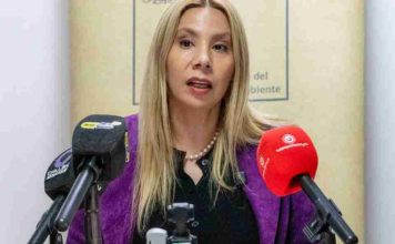 A 10 años de la Ley REP: Invitan a participar en la Segunda Cumbre de Economía Circular en Ñuble