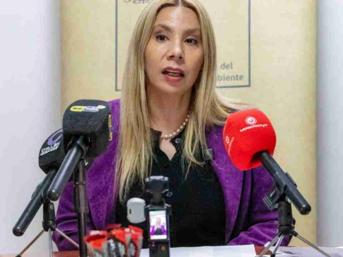 A 10 años de la Ley REP: Invitan a participar en la Segunda Cumbre de Economía Circular en Ñuble