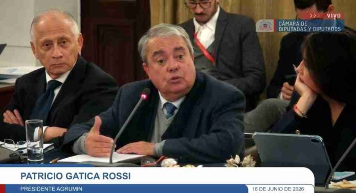 AGRUMIN propone cambios a ley de patentes mineras y modernización ambiental para reactivar a la pequeña y mediana minería