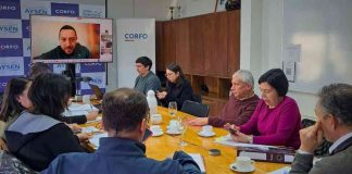 Comité de Desarrollo Productivo impulsa iniciativas para fortalecer sectores estratégicos de Aysén