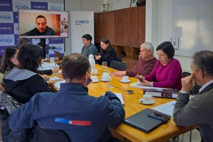 Comité de Desarrollo Productivo impulsa iniciativas para fortalecer sectores estratégicos de Aysén