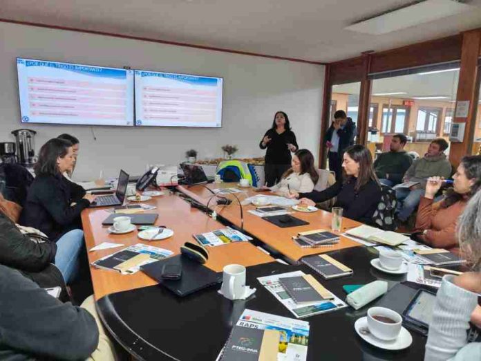 Campo y mar se dan la mano: La visita que mostró en terreno el futuro de la “tercera industria” chilena