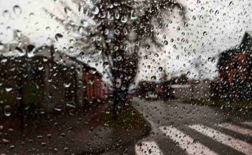 Climatólogo Pablo Sarricolea por llegada de El Niño: “Olvídense del ‘Godzilla’ para este invierno” Climatólogo Pablo Sarricolea por llegada de El Niño: “Olvídense del 'Godzilla' para este invierno”