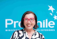 Constanza Alegría, de ProChile: “Chile y Argentina pueden aprovechar sus ventajas comparativas para liderar la producción mundial de minerales críticos”