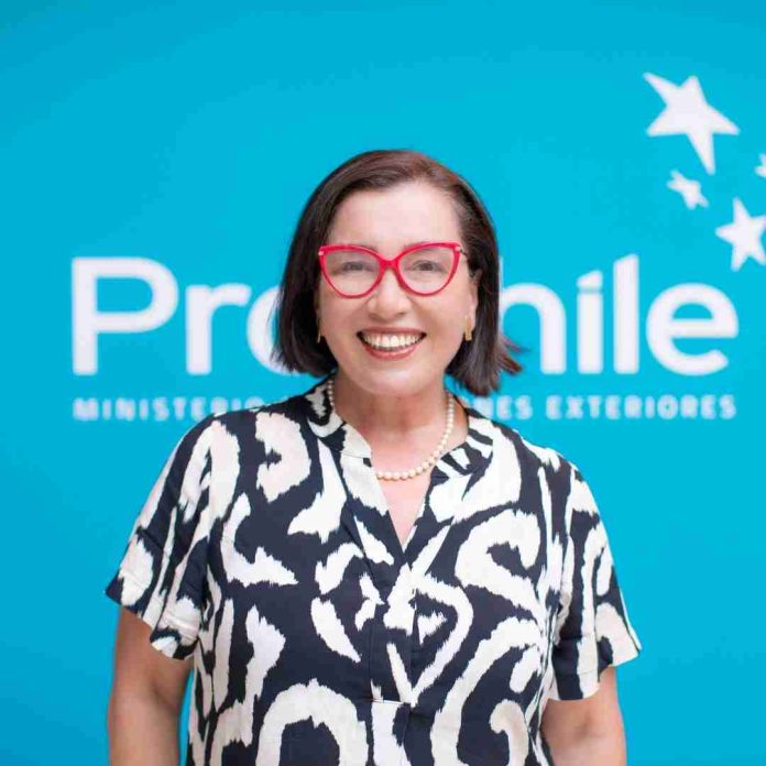 Constanza Alegría, de ProChile: “Chile y Argentina pueden aprovechar sus ventajas comparativas para liderar la producción mundial de minerales críticos”