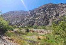 Día Mundial del Medio Ambiente 2026: Ciencia, datos e infraestructura natural para blindar el territorio Día Mundial del Medio Ambiente 2026: Ciencia, datos e infraestructura natural para blindar el territorio