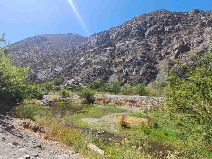 Día Mundial del Medio Ambiente 2026: Ciencia, datos e infraestructura natural para blindar el territorio