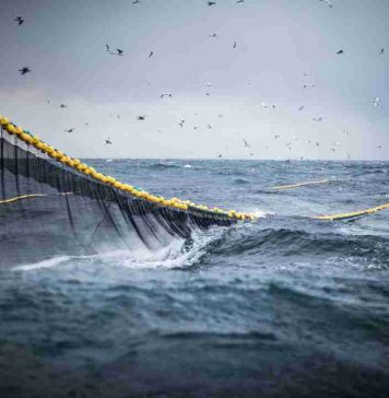 El Niño: cautos, no pasivos